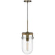 Pendant Light | Rounded Dome Glass Shade | Wood Base | Antique Brass