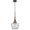Pendant Light | Leaf Pattern Glass Shade | Burlap Rope Accent | Black Metal