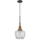 Pendant Light | Leaf Pattern Glass Shade | Burlap Rope Accent | Black Metal