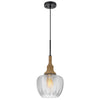 Pendant Light | Leaf Pattern Glass Shade | Burlap Rope Accent | Black Metal