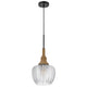Pendant Light | Leaf Pattern Glass Shade | Burlap Rope Accent | Black Metal