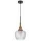 Pendant Light | Leaf Pattern Glass Shade | Burlap Rope Accent | Black Metal