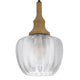 Pendant Light | Leaf Pattern Glass Shade | Burlap Rope Accent | Black Metal