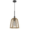 Pendant Light | Bell Style Caged Body w Braided Burlap Rope | Black Metal
