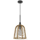 Pendant Light | Bell Style Caged Body w Braided Burlap Rope | Black Metal