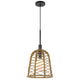 Pendant Light | Bell Style Caged Body w Braided Burlap Rope | Black Metal