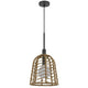 Pendant Light | Bell Style Caged Body w Braided Burlap Rope | Black Metal