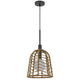 Pendant Light | Bell Style Caged Body w Braided Burlap Rope | Black Metal