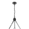 3 Light Chandelier | Rope Accents | Bubble Glass Bulbs | Black Metal 28"