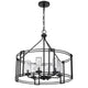 6 Light Chandelier | Caged Round Oval | Glass Shades | Black Metal 24"
