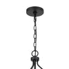 6 Light Chandelier | Caged Round Oval | Glass Shades | Black Metal 24"
