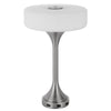 Table Lamp | USB Ports | Frosted White Glass Shade | 22" Brushed Steel