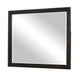 Tey Vanity Dresser Mirror | Charcoal Gray Ash Veener Frame | 39 x 47