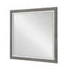Rowy Dresser Mirror | Dual Tone Frame | Ivory & Gray Wood | 37x41 Square