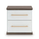 Keny Nightstand | 2 Drawers with Gold Handles | Matte White | Dark Brown