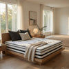 Lesi Queen Hybrid Mattress | Green Tea Infused | Quilted Cover | 12"