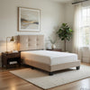 Berry Twin Platform Bed |  Adjustable Headboard | Brown Velvet Upholstery