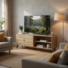 Donna TV Stand Media Console | Shelves and 2 Door Cabinet | Oak Gray Wood 63"