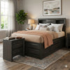 Queen Size Bedroom Set, Gray Finish, Storage Bed with Drawers, 2-Piece Set with Bed and Nightstand