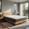 Ayes Hybrid Queen Mattress | Tight Top | Tencel Blend Cover | White 11"