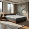 Ayes Hybrid Queen Mattress | Tight Top | Tencel Blend Cover | White 11"