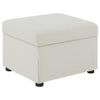 Jira Modern Storage Ottoman | Black Feet | Beige Upholstery | 24"