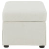 Jira Modern Storage Ottoman | Black Feet | Beige Upholstery | 24"