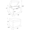 Jira Modern Storage Ottoman | Black Feet | Beige Upholstery | 24"