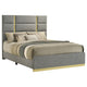 Orion Queen Panel Bed with Gold Trim | Wood Frame | Gray Chaneled Fabric