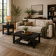 Ayne 2Pc Coffee and End Table Set | Lower Shelf | Distressed Black Wood