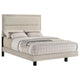 Qanto Full Panel Bed | Beige Tufted Fabric Headboard | Rustic Cream Wood
