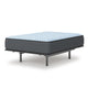 Dyni Plush Queen Mattress | 3-Layer Foam | Blue Stretch Knit Fabric 15"