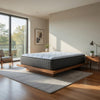Dyni Plush Queen Mattress | 3-Layer Foam | Blue Stretch Knit Fabric 15"