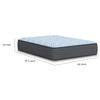 Dyni Firm Queen Mattress | 3-Layer Foam | Blue Stretch Knit Fabric 14"