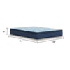 Pmy Hybrid King Mattress | Cooling Cover & Coil Support | Blue Fabric 12"