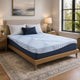 Ammy King Mattress with Firm Support | Memory Foam | Light Blue 10"