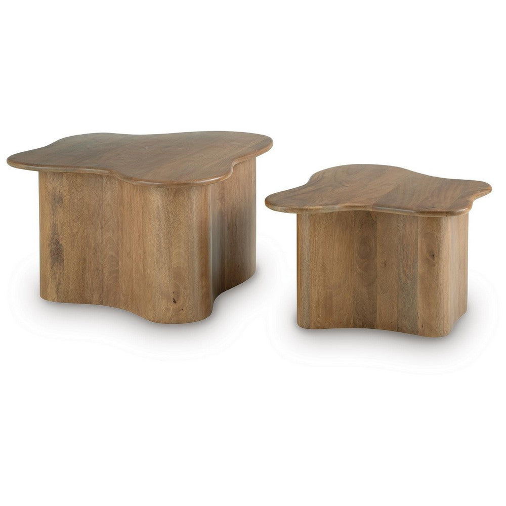 Anvy Accent Coffee Table | Set of 2 | Abstract Design | Brown Mango Wood