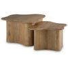 Anvy Accent Coffee Table | Set of 2 | Abstract Design | Brown Mango Wood