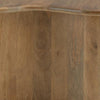 Anvy Accent Coffee Table | Set of 2 | Abstract Design | Brown Mango Wood