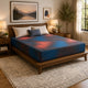 Renny Hybrid Hot-Buy Queen Mattress | Firm Support | Multicolor Fabric 13"