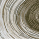 Rizzy  Large Area Rug | Brown-Gray Abstract Ripple Patterns | Ivory Wool 8x10