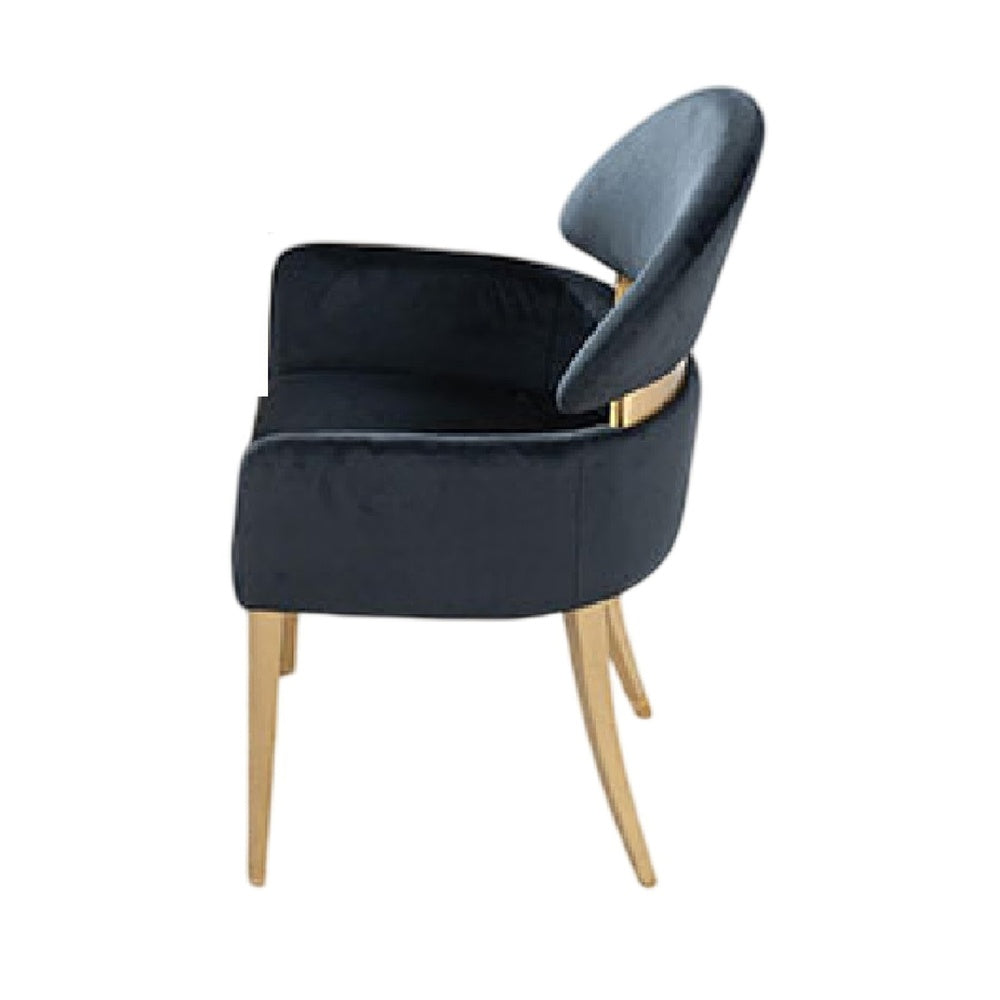 Noth Dining Armchair Set of 2 | Foam Fill Black Cushions | Matte Gold