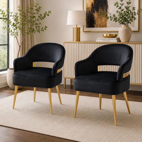 Noth Dining Armchair Set of 2 | Foam Fill Black Cushions | Matte Gold