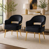 Noth Dining Armchair Set of 2 | Foam Fill Black Cushions | Matte Gold