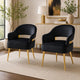 Noth Dining Armchair Set of 2 | Foam Fill Black Cushions | Matte Gold