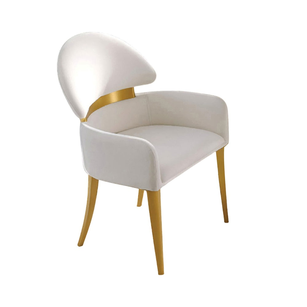 Noth Dining Armchair Set of 2 | Foam Fill White Cushions | Matte Gold