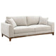 Wera Accent Sofa with 2 Pillows | Light Gray Chenille | 84"