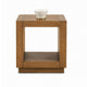 Dane Side End Table | 20" Cubic | Open Shelf | Medium Oak Brown