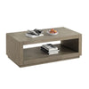 Dane Coffee Table | 48" Cubic | Open Shelf | Natural Oak Gray Finish