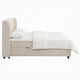 Koe Queen Storage Bed | Wingback | Channel Tufted Beige Chenille Upholstery